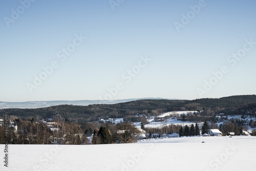 Fototapeta Naklejka Na Ścianę i Meble -  snow covered trees
