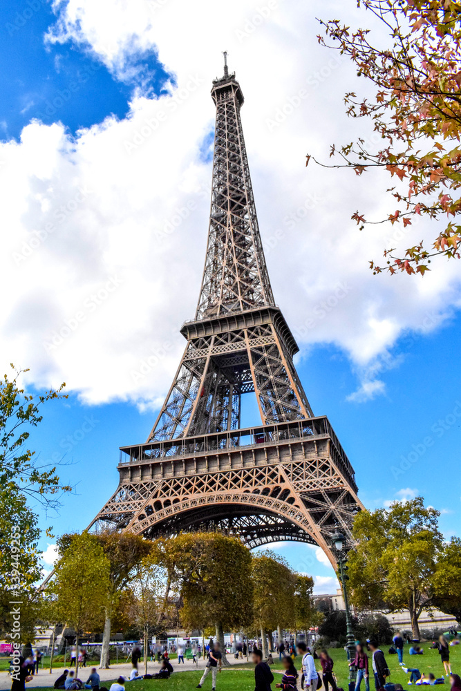 Eiffel Tower with autumn leaves and blue sky in Paris, France