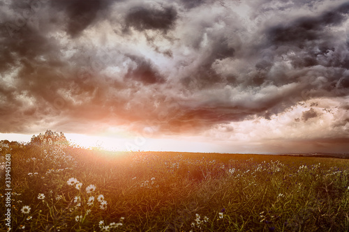 sunrise over the field