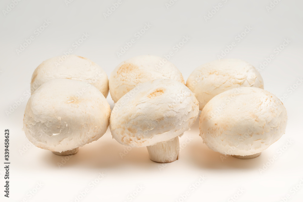 Champignon mushroom isolated on white background.