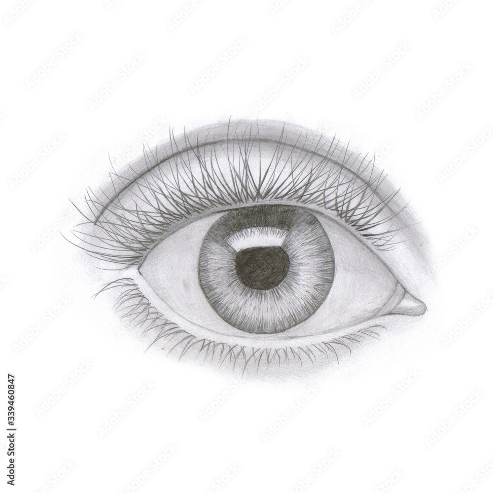 A simple pencil drawing of a human eye. Stock Illustration | Adobe ...