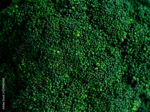 Texture Fresh broccoli in closeup