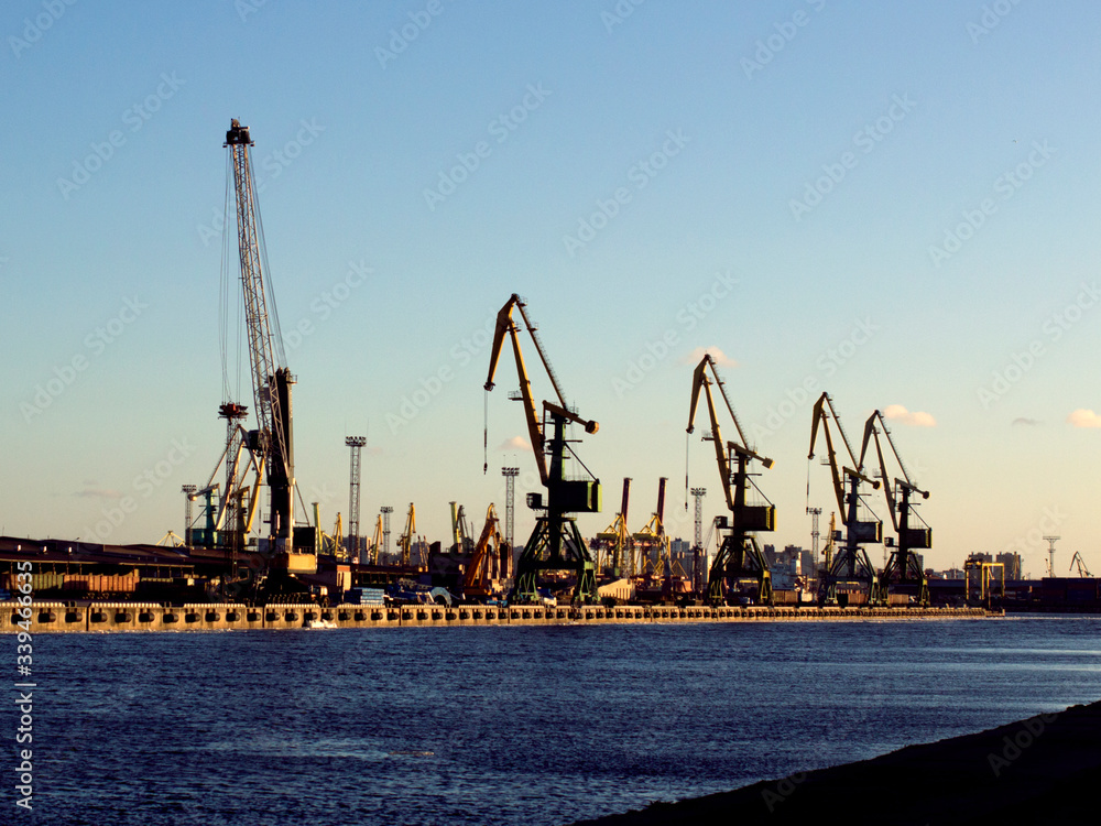cranes in cargo port