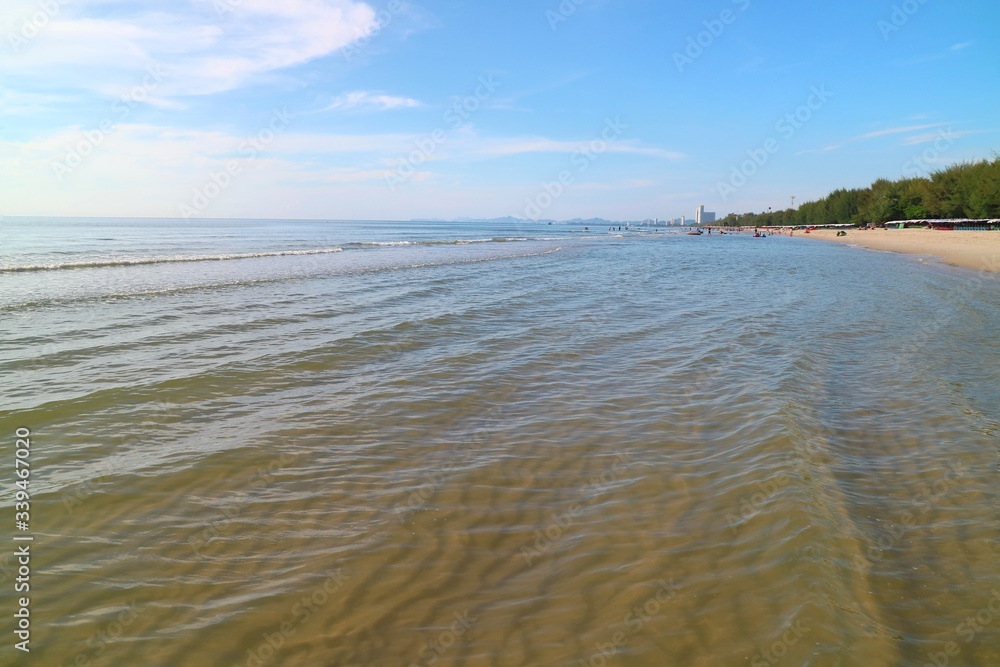Soft focus of the waves beat at the beach with sand, pine trees and blue sky with reflection in summer morning. Nature background concept.