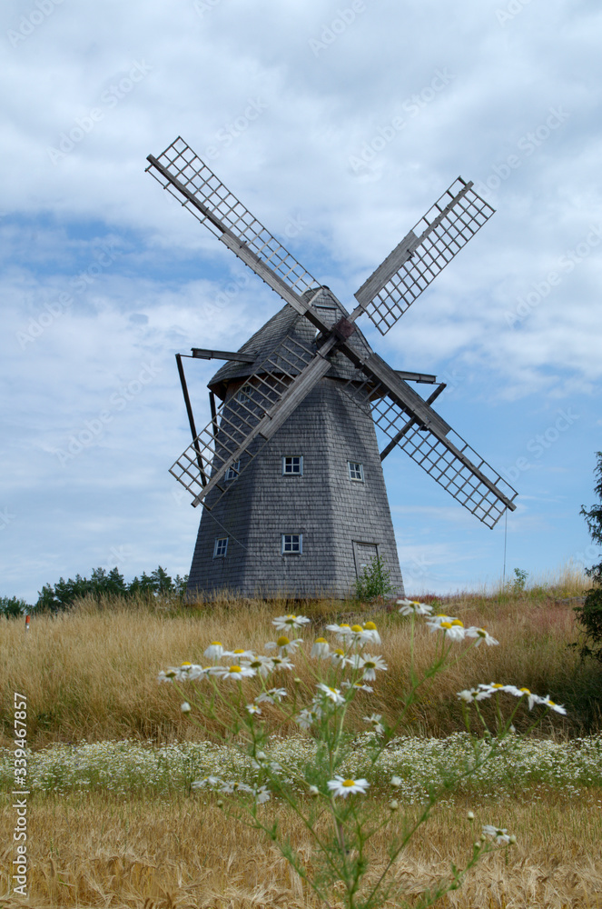Beautiful windmill with daisy flowers in foreground. The swedish name of the mill is Riddaregårdens kvarn Kållandsö,