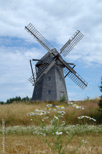 Beautiful windmill with daisy flowers in foreground. The swedish name of the mill is Riddareg  rdens kvarn K  llands   