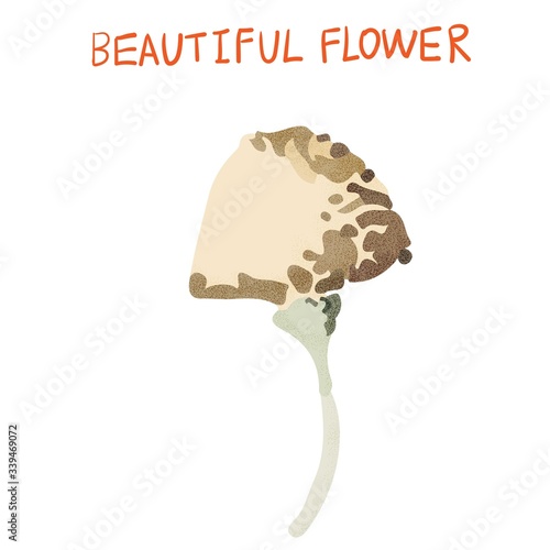 Abstract beautiful vector flower, rose flower