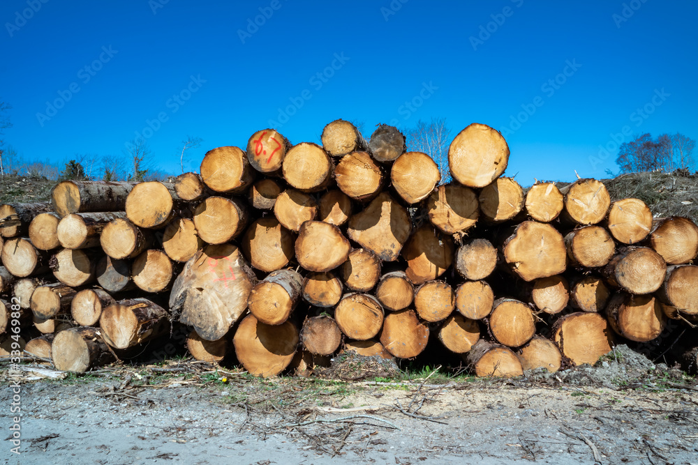Timber stacks at Bonny Glen in County Donegal - Ireland Timber stacks at Bonny Glen in County Donegal - Ireland