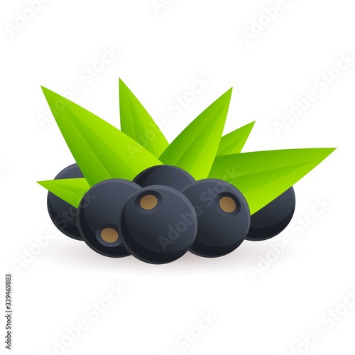 Acai berry icon. Cartoon of acai berry vector icon for web design isolated on white background