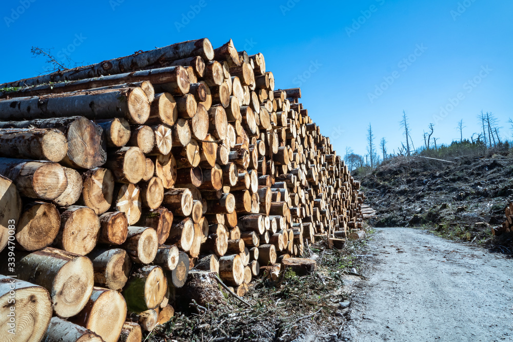 Timber stacks at Bonny Glen in County Donegal - Ireland Timber stacks at Bonny Glen in County Donegal - Ireland
