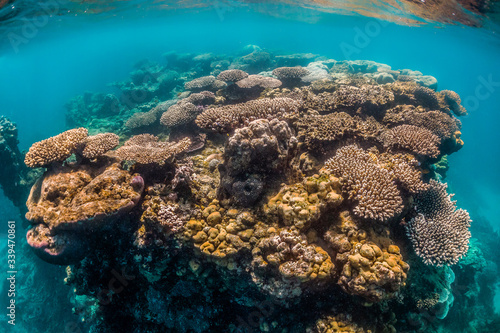 Colorful coral reef formations in crystal clear water