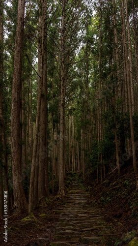 Trail towards Yunomine Onsen. Kumano Kodo is a Unesco World Heritage site ancient pilgrimage route in Japan