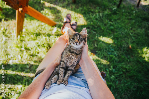 Relaxing cat in human hands.  photo