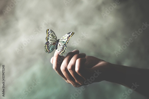 a butterfly leans on a woman's hand photo