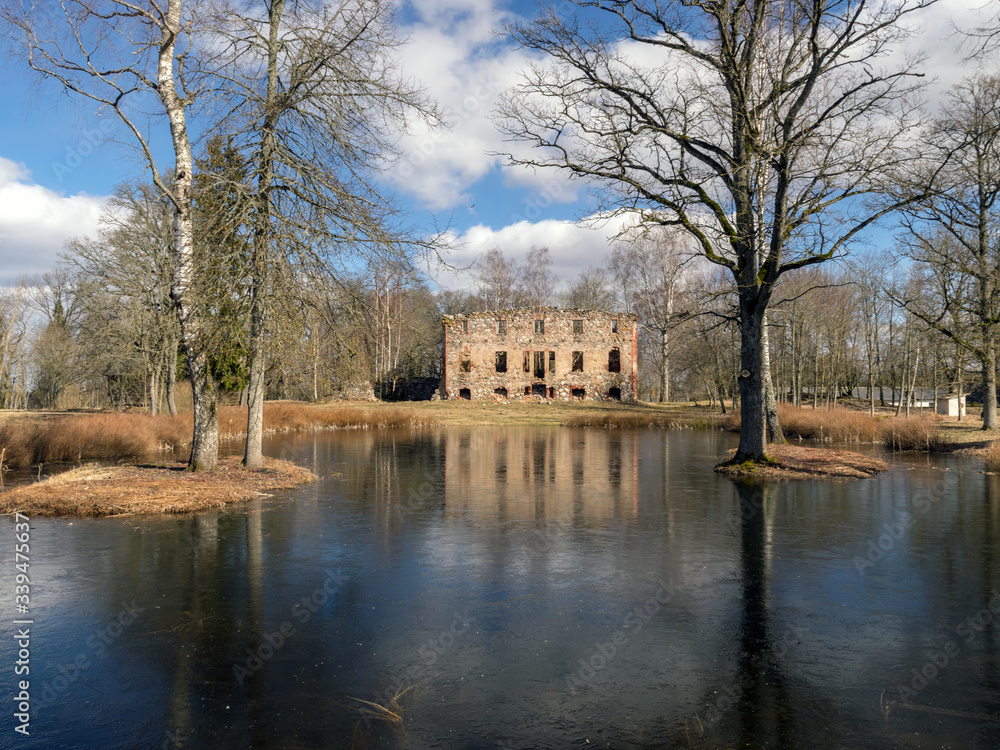 wonderful landscape with old manor ruins, early spring, beautiful blue sky with white clouds, small pond with beautiful reflections of water wonderful landscape with old manor ruins, early spring, beautiful blue sky with white clouds, small pond with beautiful reflections of water