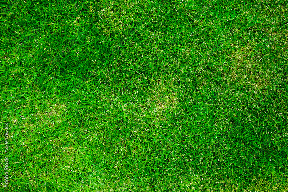 Obraz premium Natural Green grass texture. Perfect Golf or football field background. Top view2