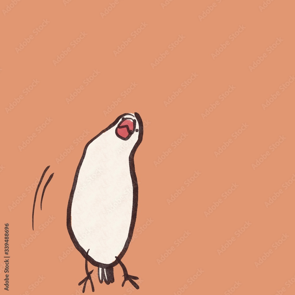 首を傾げる 白文鳥 背景カラー Stock Illustration Adobe Stock