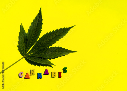 Multicolored funny word cannabis with a leaf of marijuana on a yellow background. Minimalistic composition. Flat Lay.