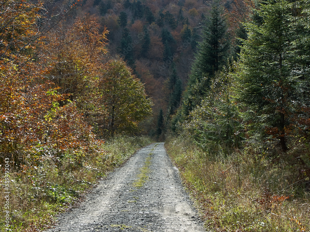 Obraz premium droga w górach jesienia