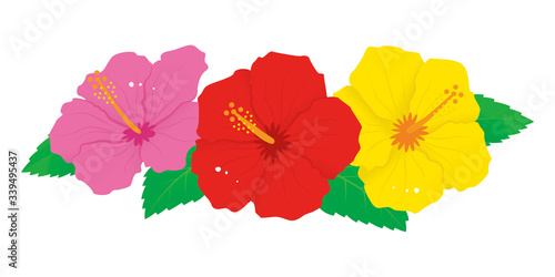 赤とピンクと黄色のハイビスカスの花のベクターイラスト