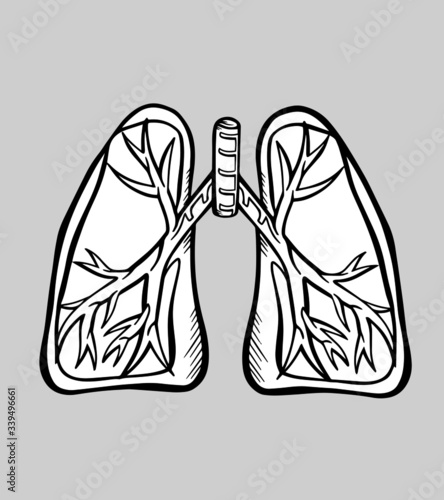human lungs organ breathing illustration vector medicine graphic isolate banner poster outline disease protection tattoo