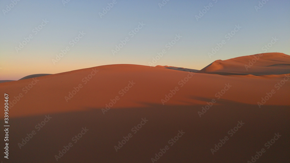Desert dawn