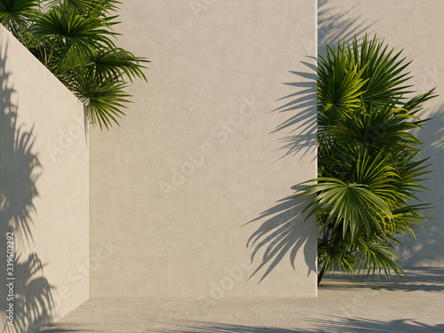 Fototapeta Naklejka Na Ścianę i Meble -  Bright white wall with green tropical leaves, sunlight with shadows. Summer, spring background. 3d rendering.