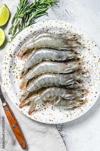 Fresh raw giant langoustine shrimp on a white plate. Gray background. Top view