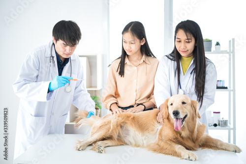 Fototapeta Naklejka Na Ścianę i Meble -  Veterinary concept. Veterinarian examining dog's heartbeat. Dog owners take pets, check the body with a veterinarian. Measure fever with a thermometer.