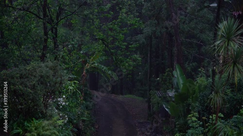 A road in a jungle forest in a gloomy dark light in the rain. photo