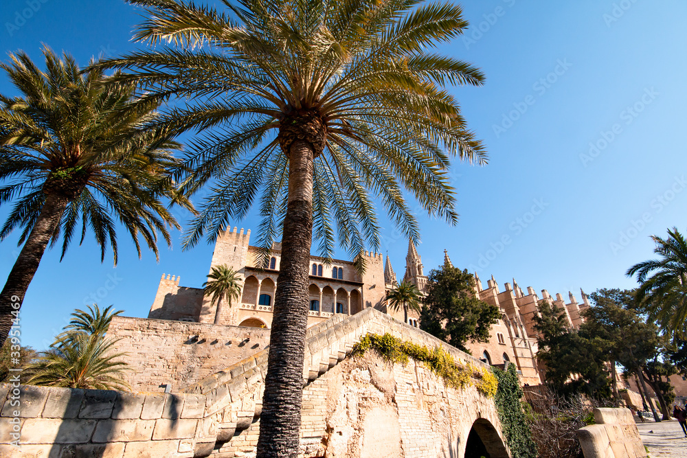 Obraz premium Kathedrale von Palma de Mallorca, Spanien