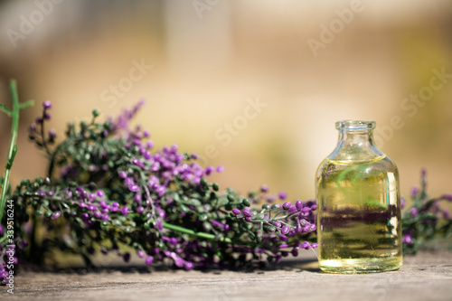 lavender oil and lavender