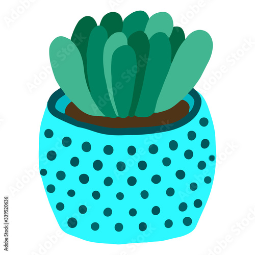 Cartoon succulents colorful vector echeveria