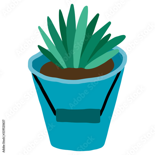 Cartoon succulents colorful vector haworthia