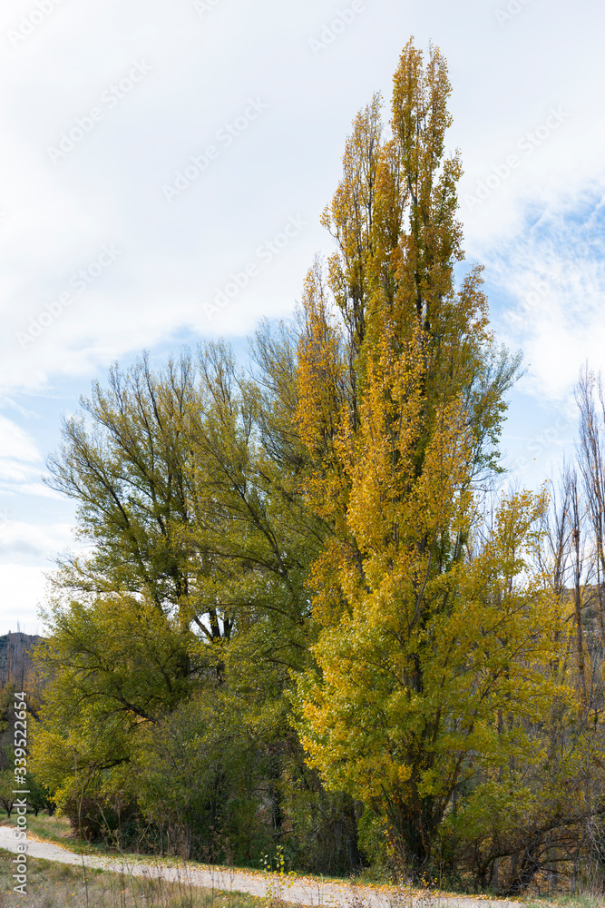 Rincon de Ademuz en otoño