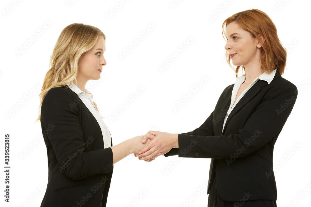 Two businesswomen shaking hands
