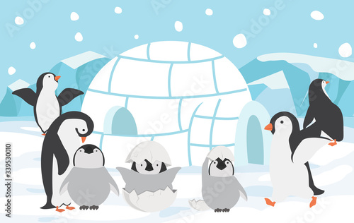 family penguins with North pole background concept