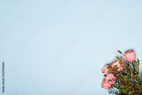 Pink roses and green leaves bouquet on blue paper background 