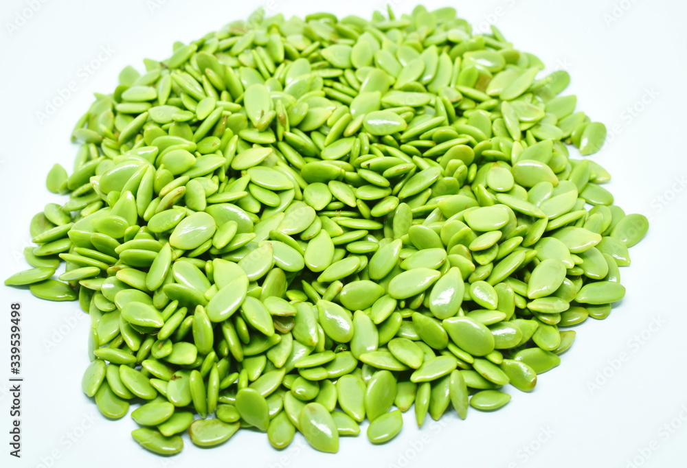 fresh acacia seed arranging on white background fresh acacia seed arranging on white background