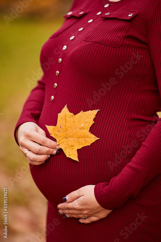 Close up of pregnant belly in nature, woman hands gently pat her stomach and hold the autumn leaf, 8 months