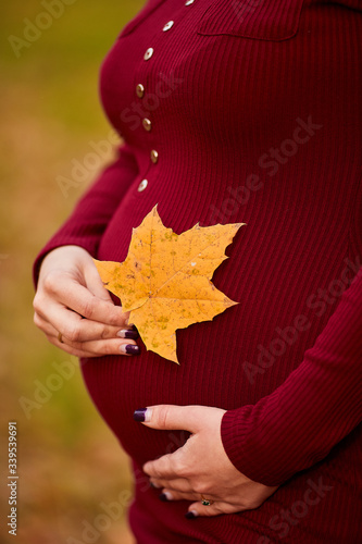 Close up of pregnant belly in nature, woman hands gently pat her stomach and hold the autumn leaf, 8 months