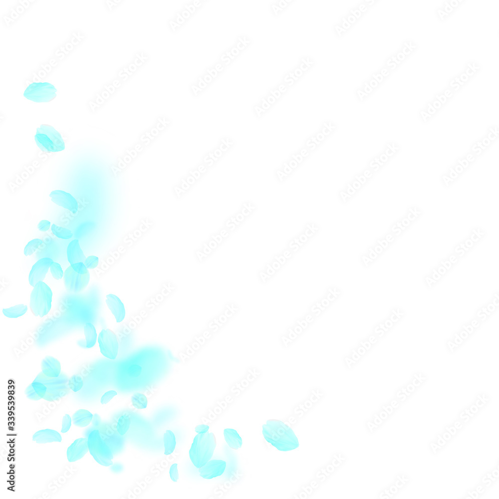 Turquoise flower petals falling down. Appealing ro Turquoise flower petals falling down. Appealing ro