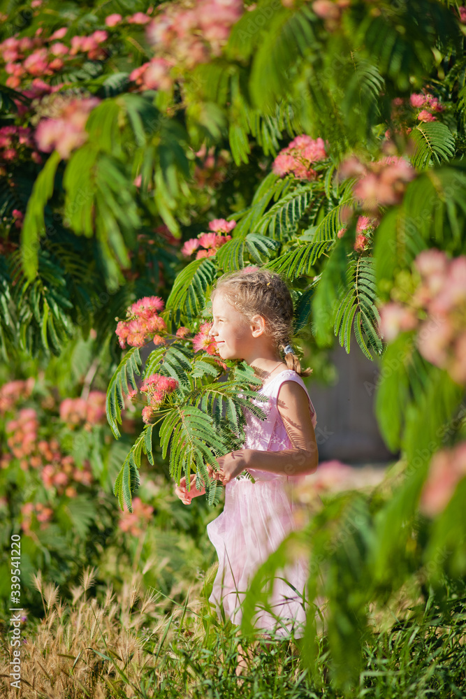 Close-up portrait of a child. Summer funny little girl next to a pink acacia in bloom. Albizia julibrissin