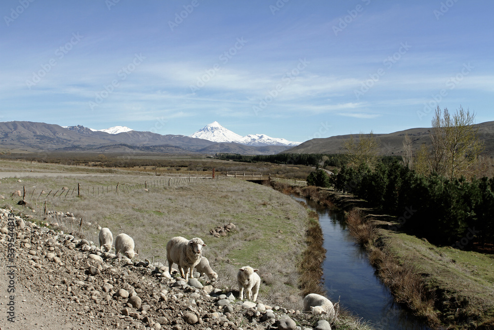Obraz premium PATAGONIA