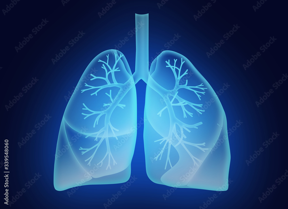 Illustration of human lungs on dark blue background