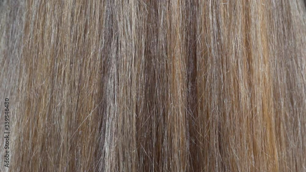 Macro Beautiful Shiny Highlighted Women's Hair. Close-up of the Hair Structure. Macro Beautiful Shiny Highlighted Women's Hair. Close-up of the Hair Structure.