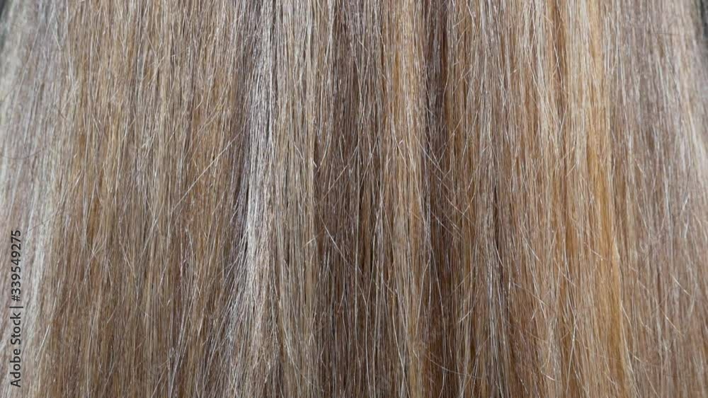 The Girl's Glossy Brown Hair. Close-up of Light Brown Hair Structure. The Girl's Glossy Brown Hair. Close-up of Light Brown Hair Structure.