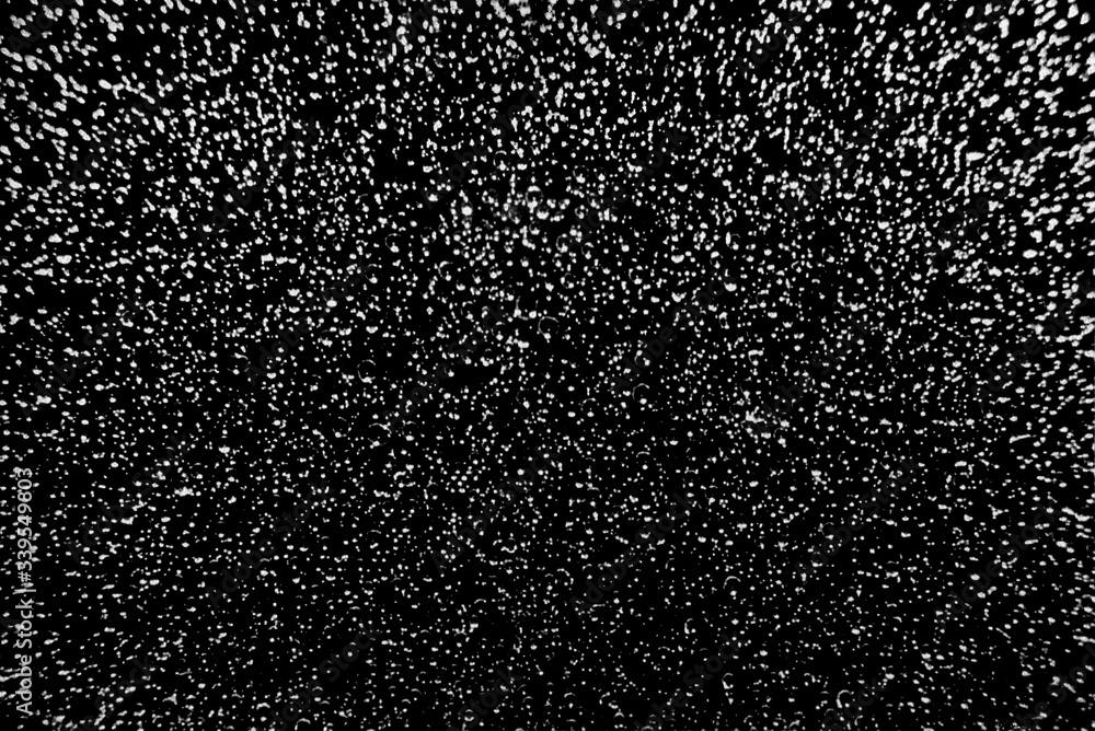 Foto analogiche in bianco e nero digitalizzate Foto analogiche in bianco e nero digitalizzate