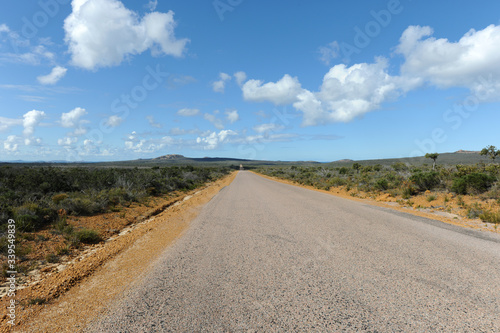 road disappearing in to the distance  Cape Le Grand National Park  near Esperance  WA  Australia