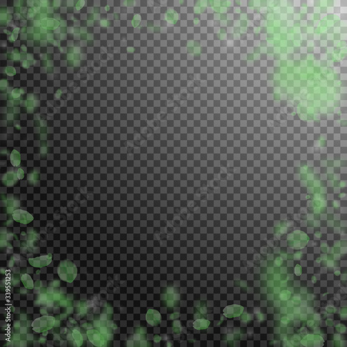 Wallpaper Mural Green flower petals falling down. Adorable romanti Torontodigital.ca